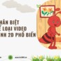 Cách phân biệt các thể loại video hoạt hình 2D phổ biến