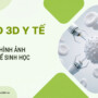 Video 3D Trong Y Tế – Giải Pháp Hình Ảnh Hóa Cơ Chế Sinh Học
